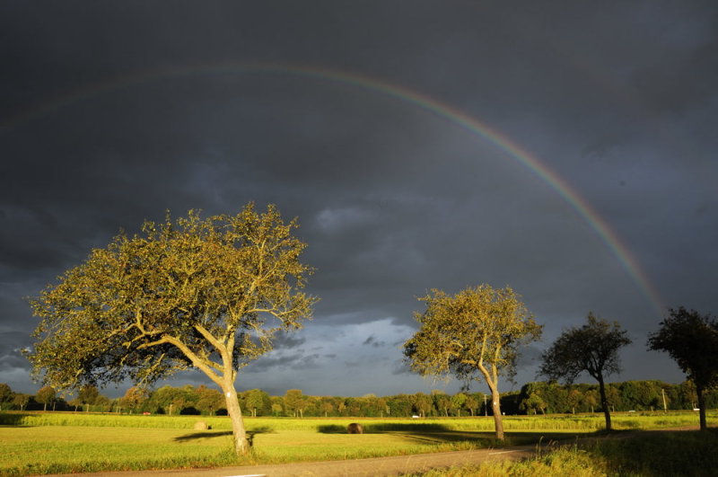 arc-en-ciel
