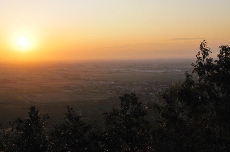 vue sur la plaine dAlsace