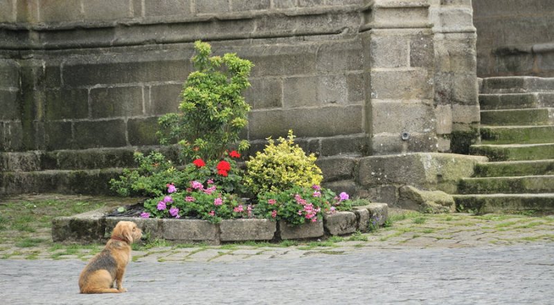 Locronan