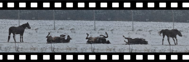 bain de neige