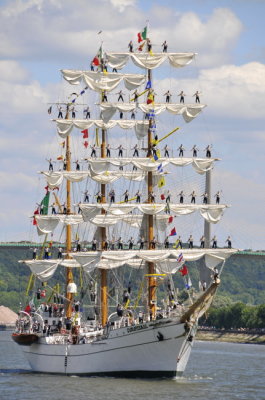 Armada Rouen 2008 - 2023