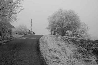 Canal_rhone-rhin