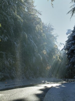 route de Barr vers Mont ste-Odile