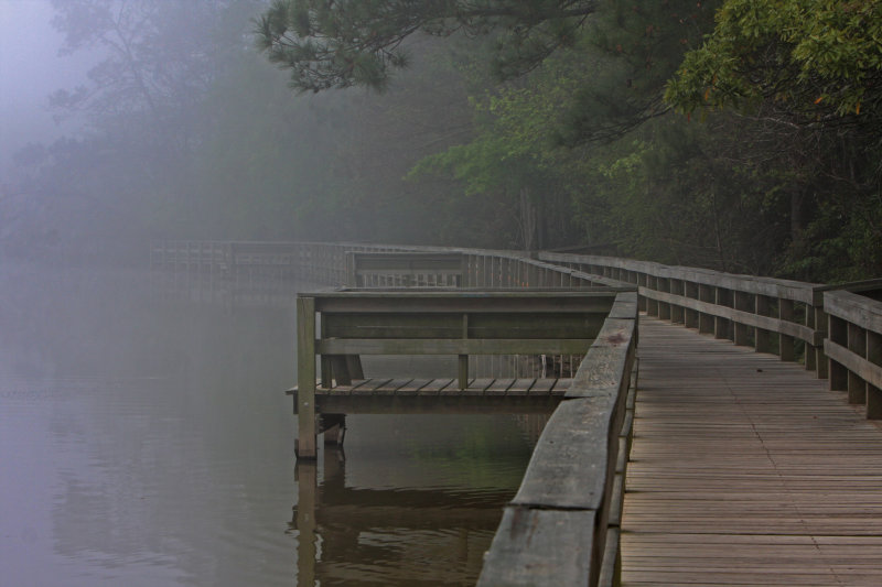 kingwood boardwalk.jpg