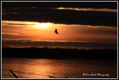 Sunset Lock  Dam 18
