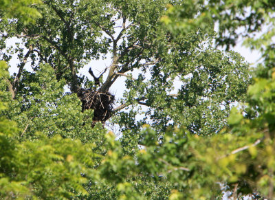 06 03 2009 We have liftoff