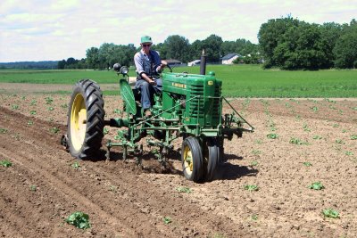 John Deere model MT cultivating cantelope field