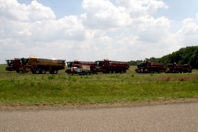 Del Monte produce harvesting crew