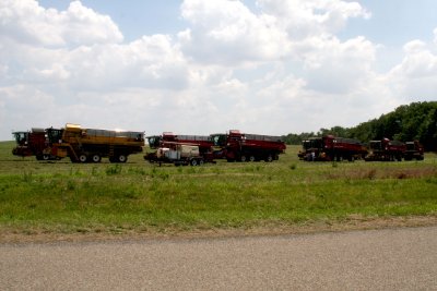 Del Monte produce harvesting crew