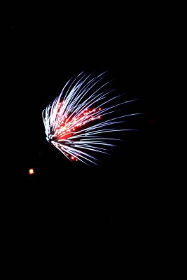Fireworks after evening aerobatics