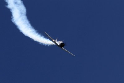 Navy SNJ-5 Clyde Zellers pilot