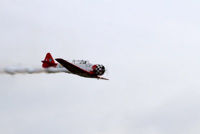 Areoshell Team AT-6 Texans