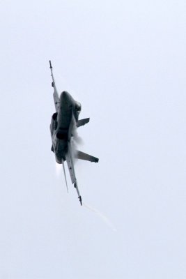 Navy F-18 Hornet