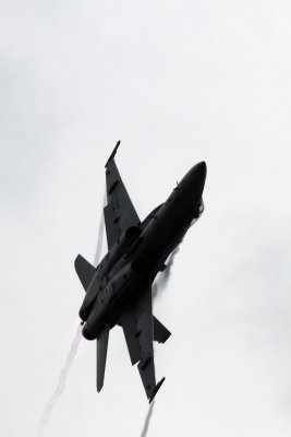 Navy F-18 Hornet
