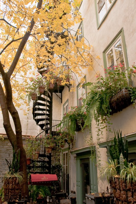 Patio