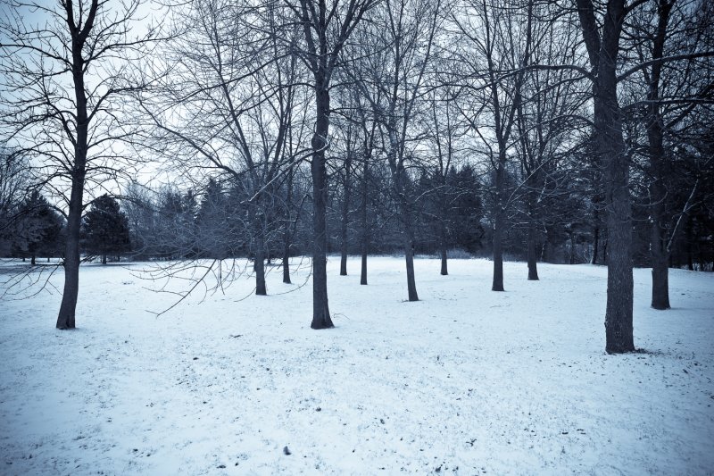 Lhiver nous rattrape toujours... / Want it or not, Winter catches up with us...