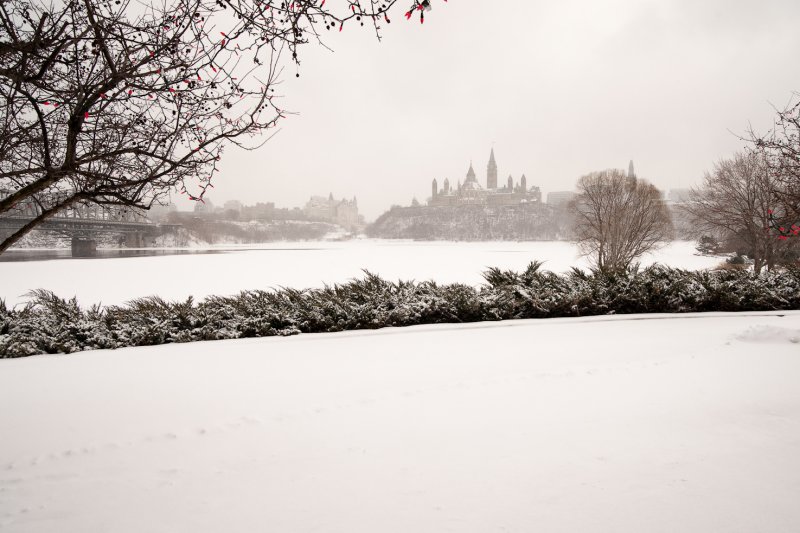 Journe neigeuse / Snowy Day