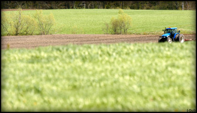 Tracteur/Tractor