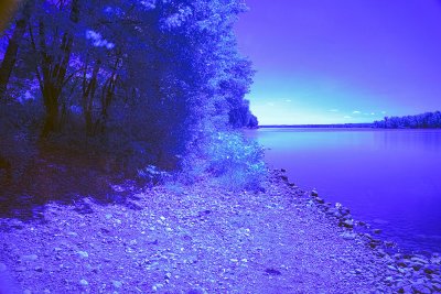 Lumière au bout de la rivière / Light at the End of the River