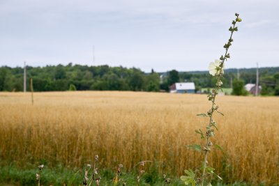  la campagne / In the Open Country