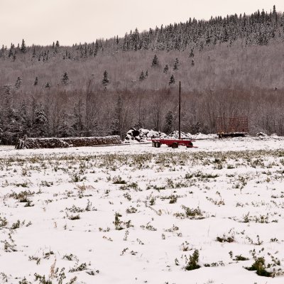 Premire blancheur / First Whiteness