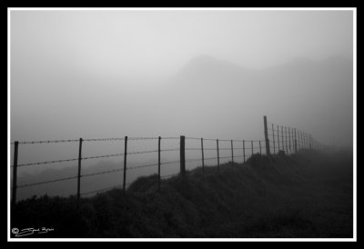 Mist.jpg