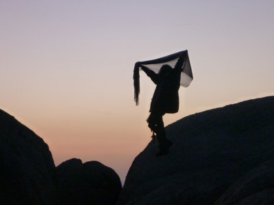 silhouette