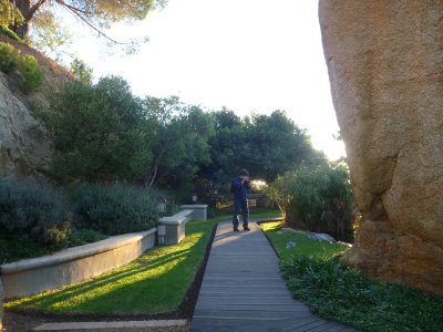 ernie els winery