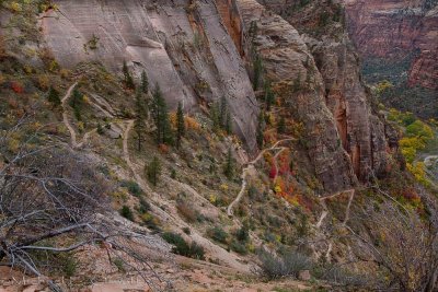 Trail to Canyon Overlook