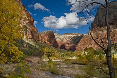 Looking North Toward Angels Landing and Observation Point