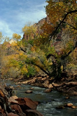 Virgin River