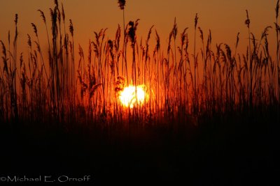 Knotts Island Sunset