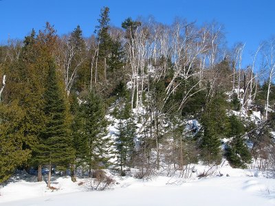 Papineau-Labelle 2009