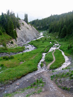 IMG_3765.jpg