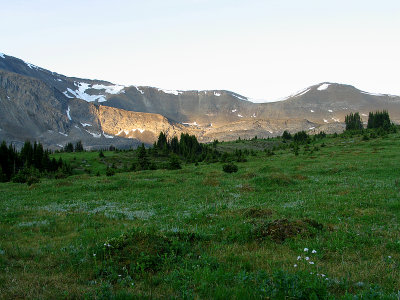 IMG_3766.jpg