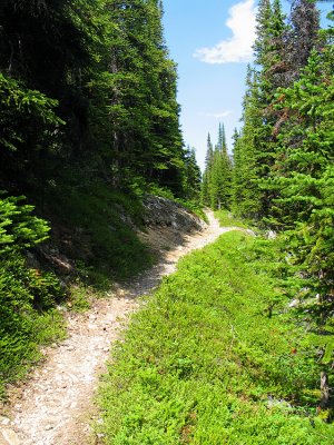 IMG_3874.jpg