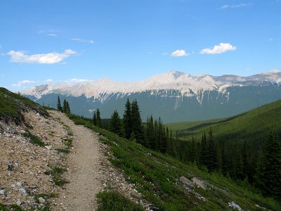 IMG_3875.jpg