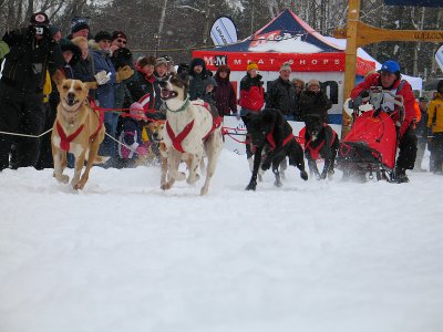 IMG_0540.jpg