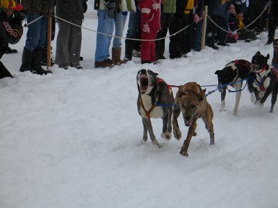 IMG_0542.jpg