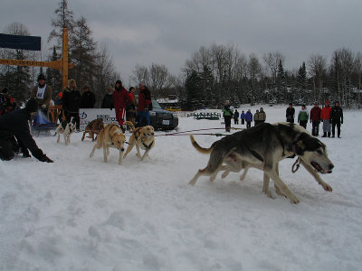 IMG_0622.jpg