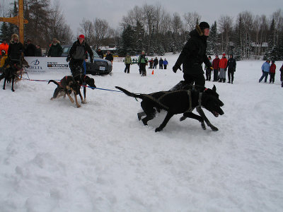 IMG_0624.jpg