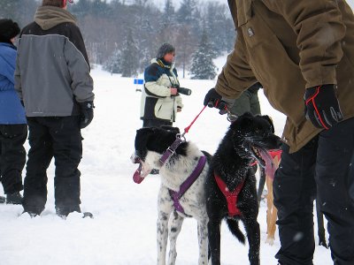 IMG_0632.jpg