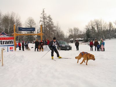 IMG_0653.jpg