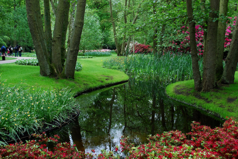 Kuekenhof062.JPG
