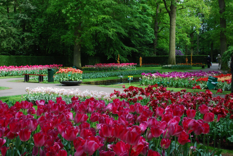 Kuekenhof295.JPG