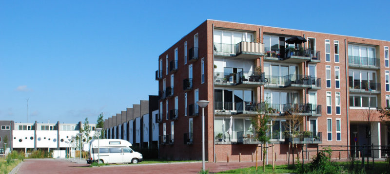 DSC_2474.jpg