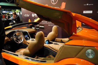 Amsterdam Auto Show 2009035.JPG