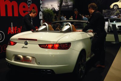 Amsterdam Auto Show 2009036.JPG