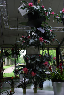 Kuekenhof023.JPG
