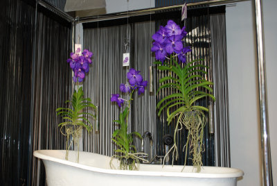 Kuekenhof040.JPG